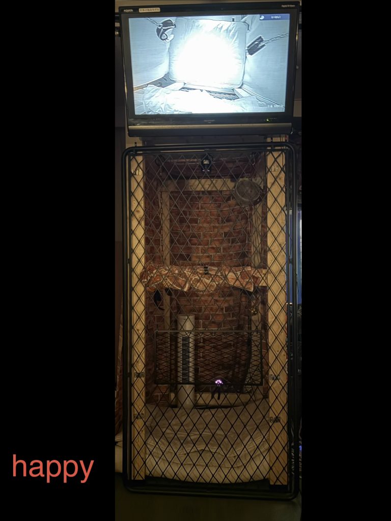 全ての変態達の憩いの秘密基地23年目の老舗新宿・ハプニングバー安心!安全!格安!団鬼六映画の緊縛師常駐!
新宿 ハプバー ハプニングバー ハッピー