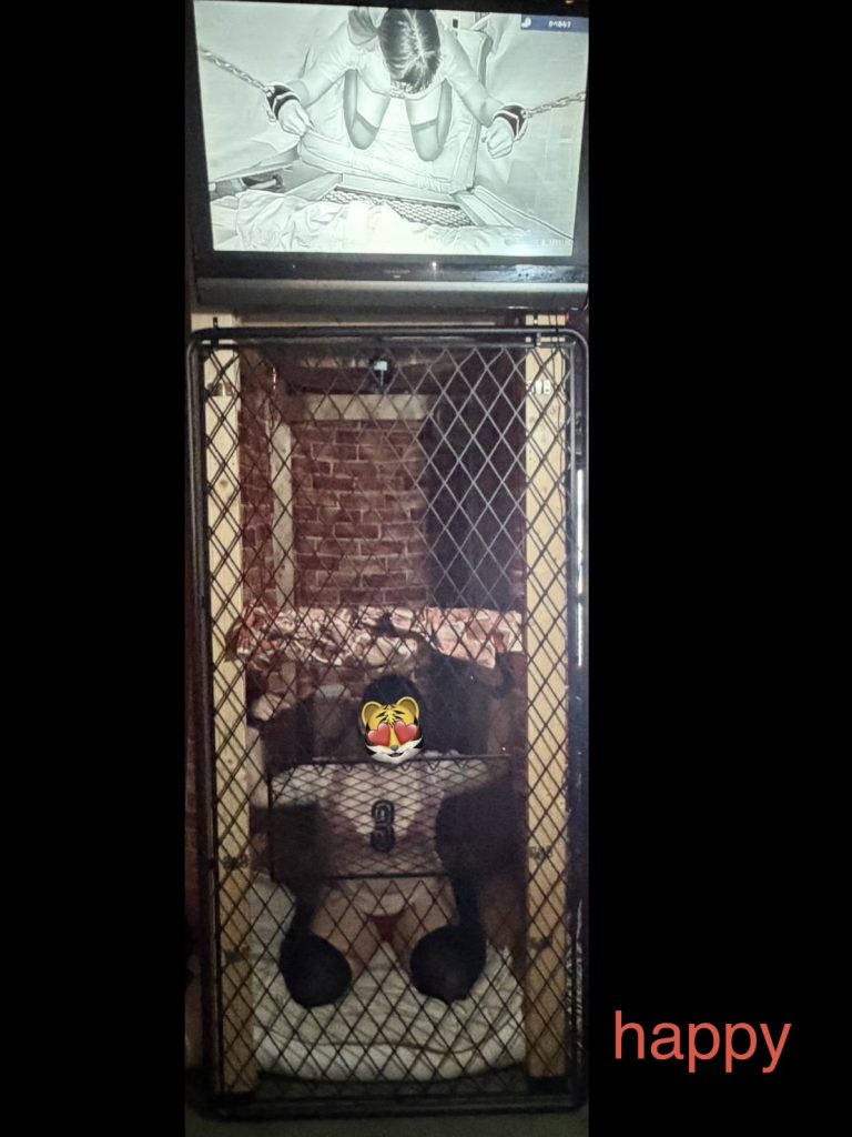 全ての変態達の憩いの秘密基地23年目の老舗新宿・ハプニングバー安心!安全!格安!団鬼六映画の緊縛師常駐!
新宿 ハプバー ハプニングバー ハッピー